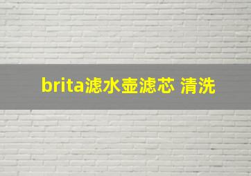 brita滤水壶滤芯 清洗